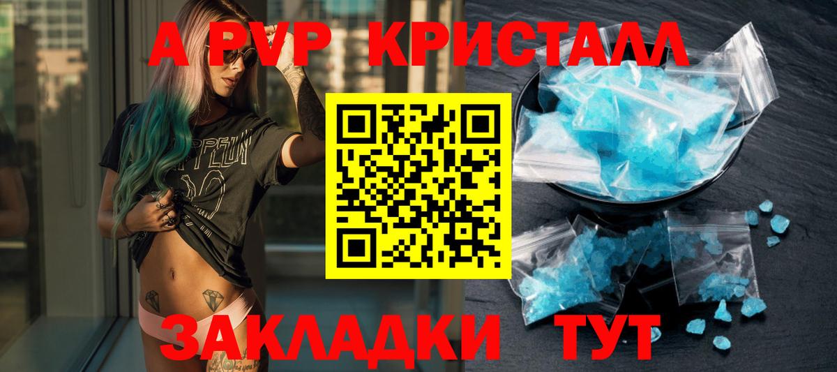 A PVP СК КРИС Сальск