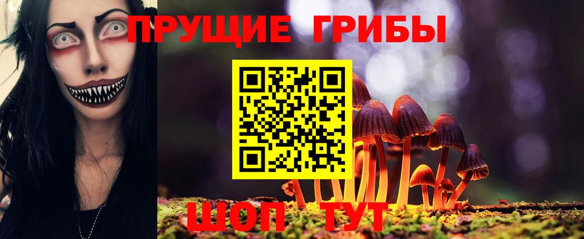 Сальск  Галлюциногенные грибы GOLDEN TEACHER  Вход с VPN 
