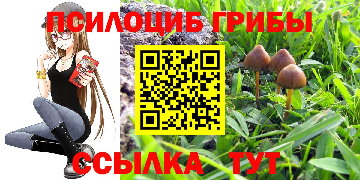 Галлюциногенные грибы Magic Shrooms Сальск